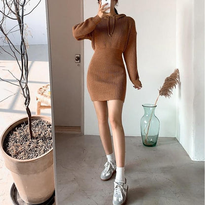 Casual hooded collar women sweater dress Bat sleeves drawstring ladies - AllYearGoods